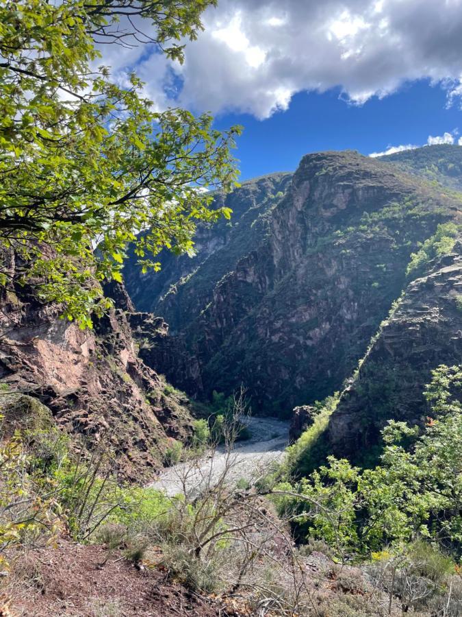 Gite De La Mairie Des Gorges De Daluis Bagian luar foto